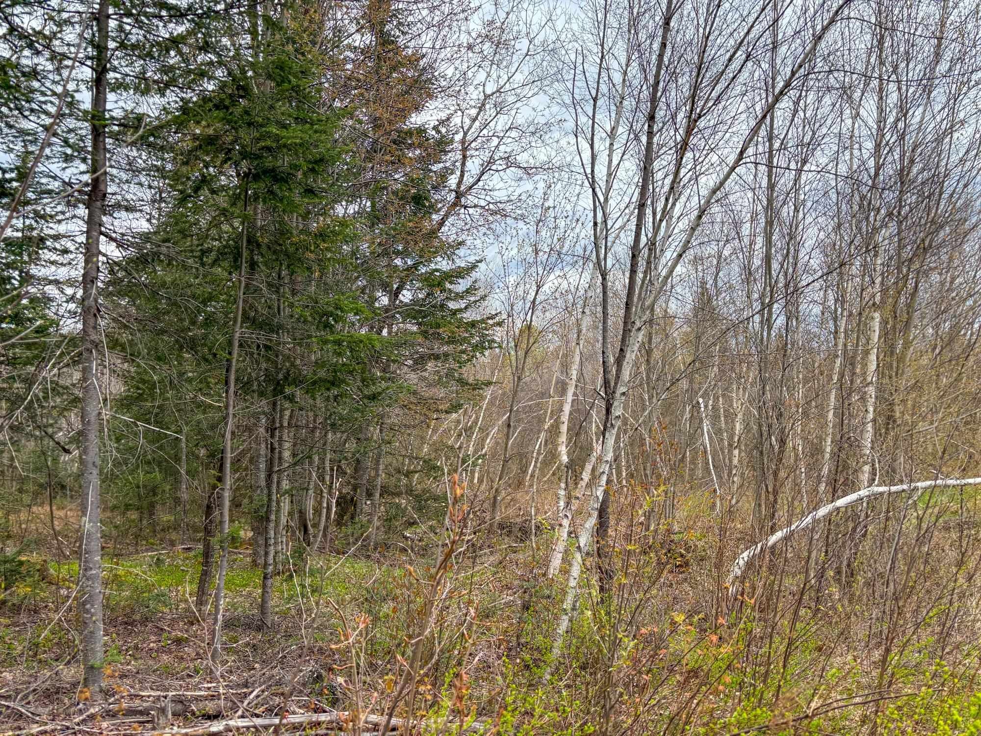 Other - 0 Atwood Road, Brighton, VT