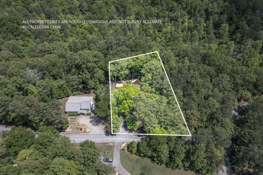 Single Family 3BR 3BA - 40 Caledonia Drive, Blairsville, GA
