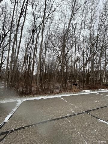 Other - Fountain Lane, Handy Twp, MI