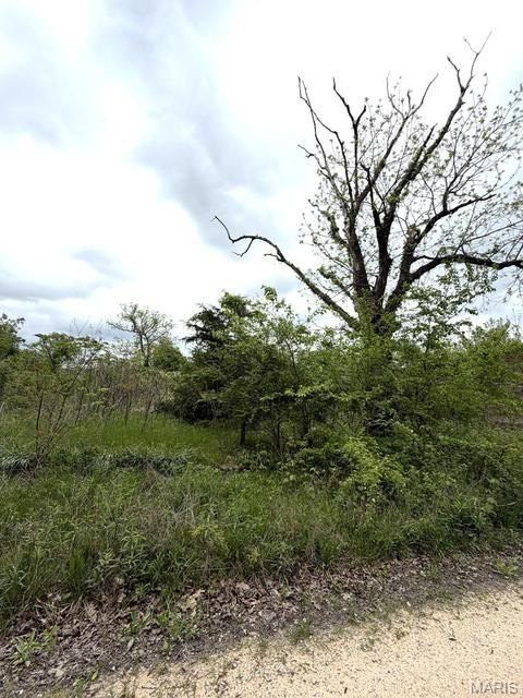 Other - 6919 County Road 665, Birch Tree, MO