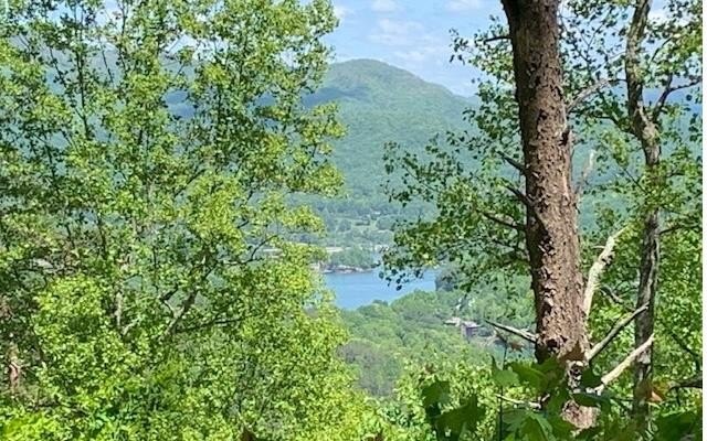 Other - Hidden Summit Road lot: 8, Hiawassee, GA