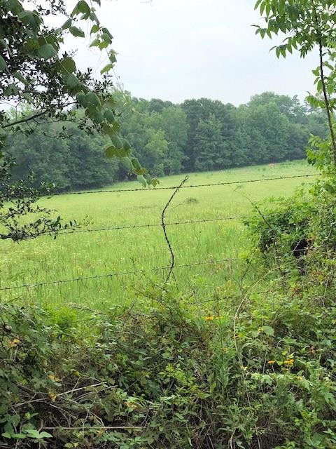 950 AnCountyRoad 160  