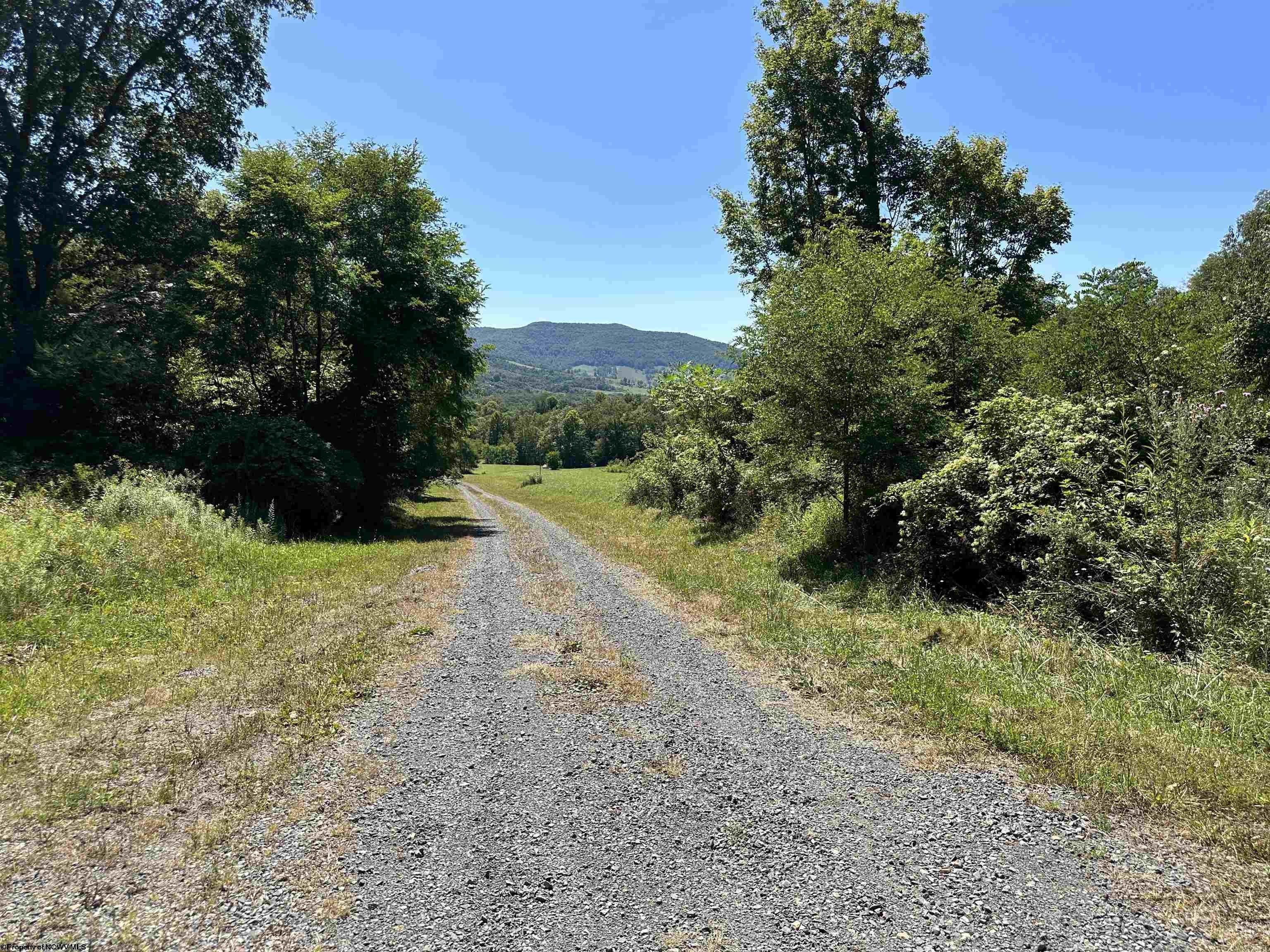 Other - Lot 10 Alpenglow Ridge Drive, Dryfork, WV