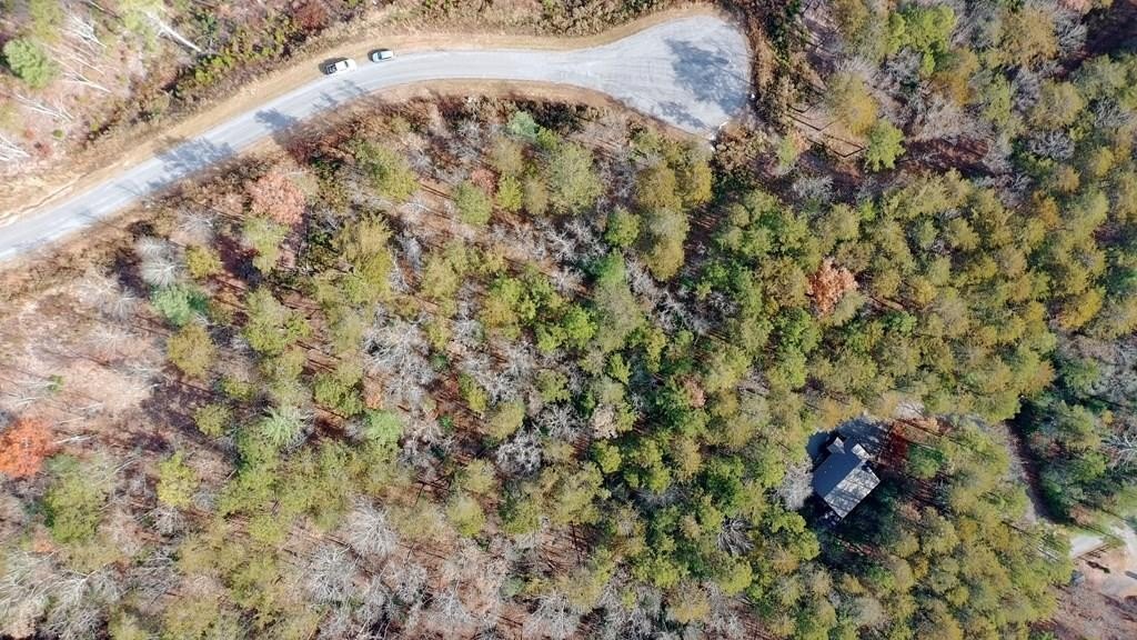 Other - Lot 37 Ridgeline Lane, Mineral Bluff, GA