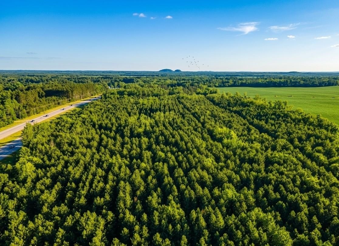 Other - Lot 4 11th Drive, Friendship, WI