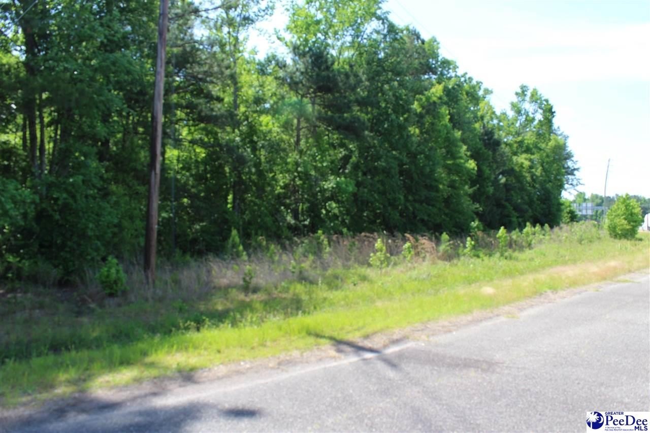 Single Family - Lot Galveston Ct., Marion, SC