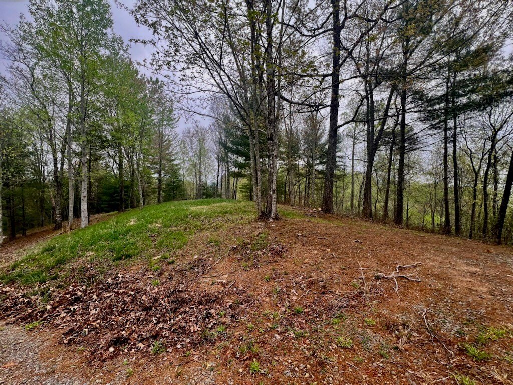 Other - TR1-23 Majestic Mountain Trl, MURPHY, NC