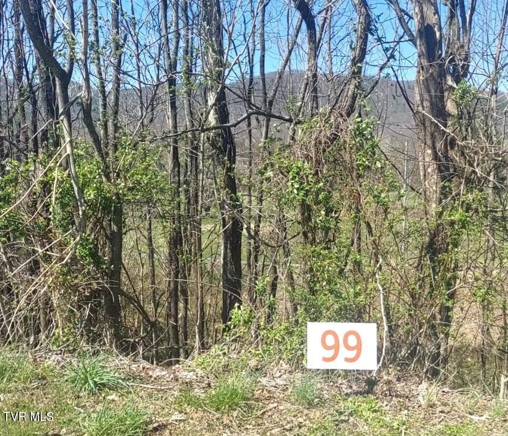 Other - Country Club Drive lot: 99, Unicoi, TN