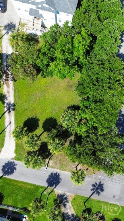 Other - 0 Chatham Avenue, Tybee Island, GA