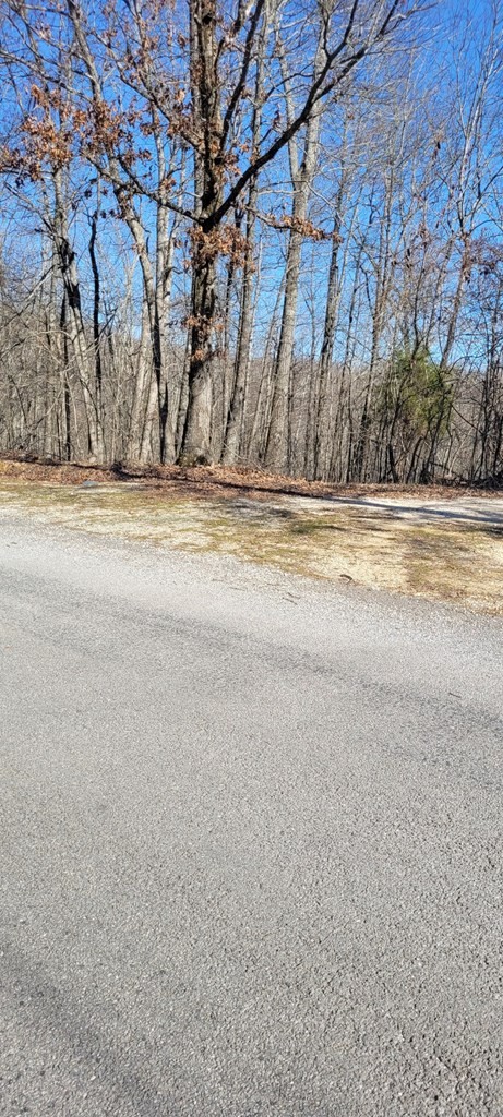 Other - 1 Eagle Shore Rd Lot 58, DOVER, TN