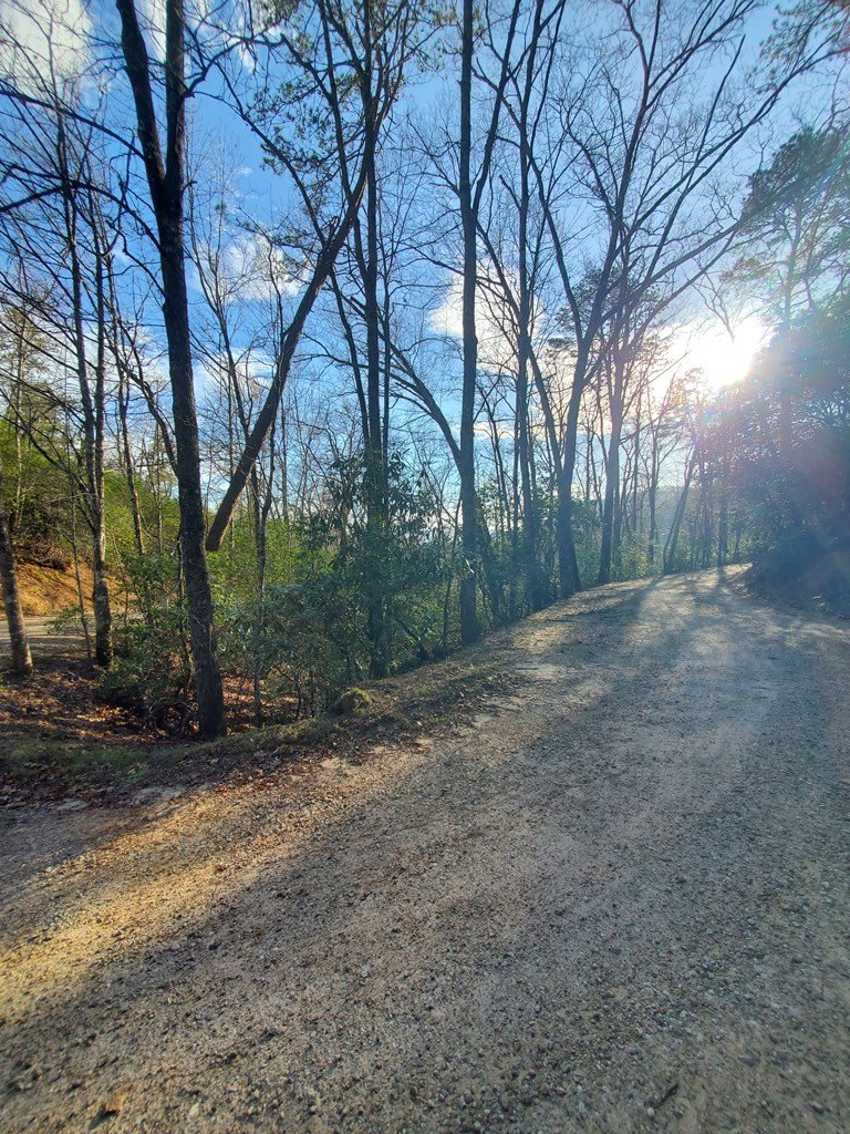 Other - Snowhill Falls Circle lot: 7, Franklin, NC