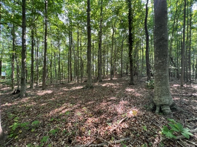 Other - 10.97 AC H R Huffer Ln, ALLONS, TN