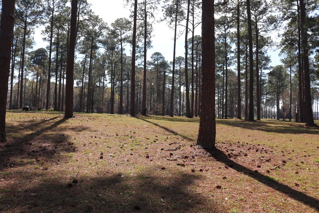 Lot Unit 35 Cannon Br  