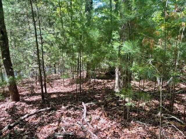 Other - Lot 2 Mount Pleasant Ridge Road, Blairsville, GA