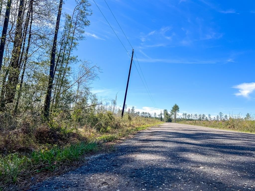 Other - 1 County Road 443, Kirbyville, TX