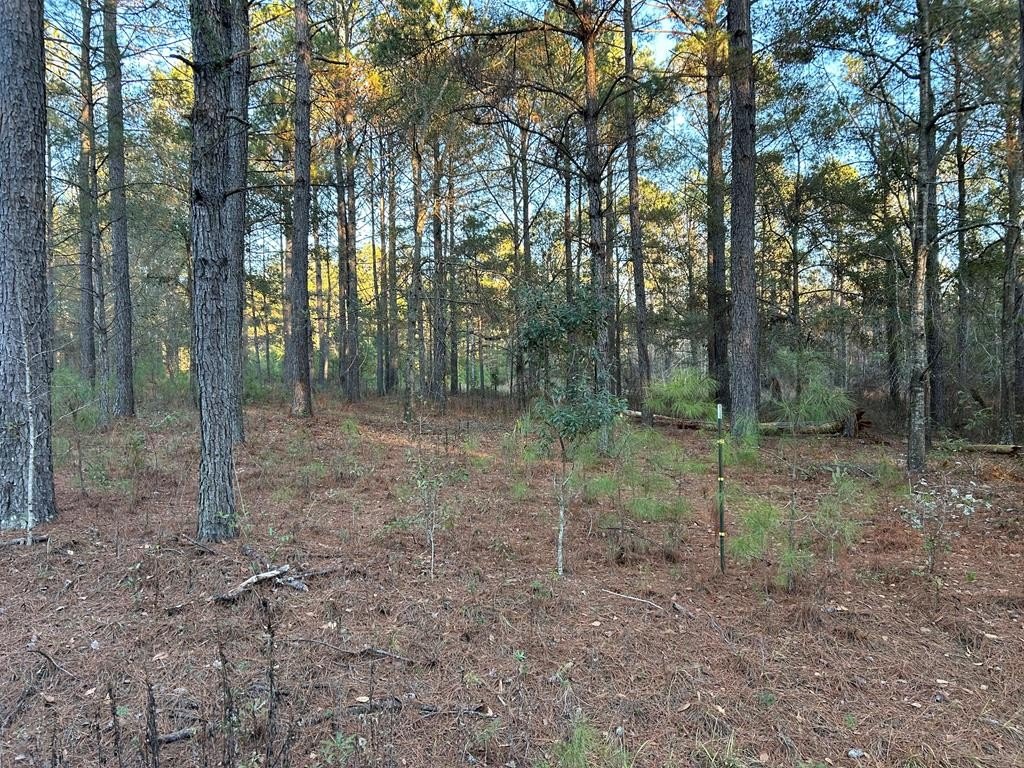 Single Family - Lot 11 Claybank Drive, Quitman, GA