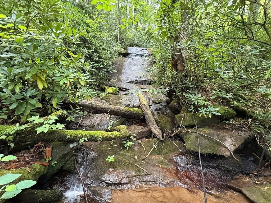Other - Happy Hill, Scaly Mountain, NC