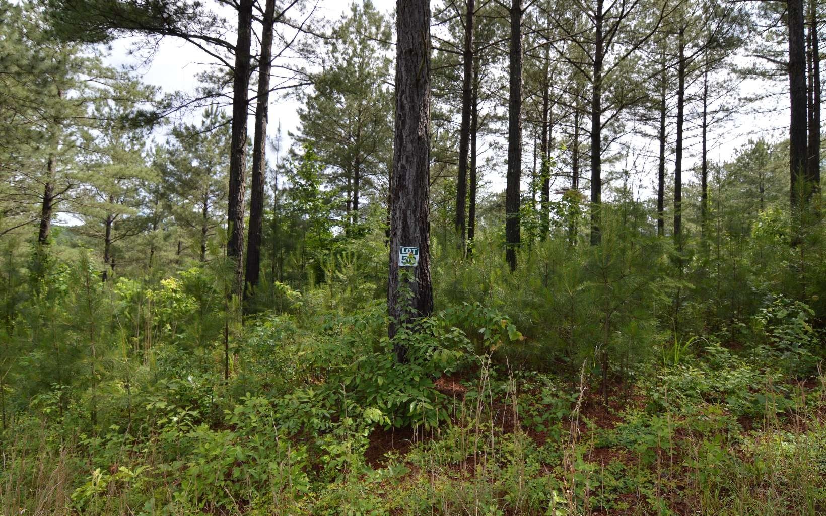 Other - Lot 50 Pinehurst Road, Blairsville, GA