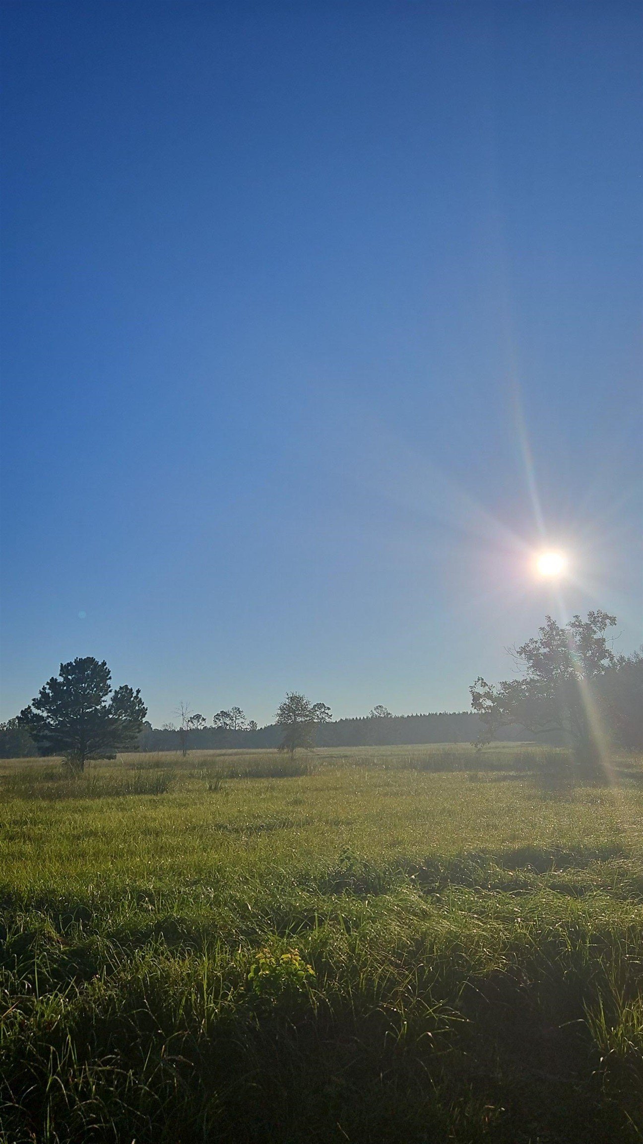 Other - County Road 725, Buna, TX