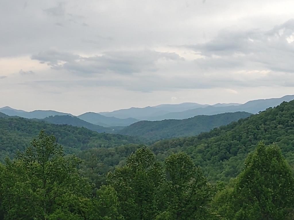 Other - 316 Majestic Mountain View lot: 47, Bryson City, NC