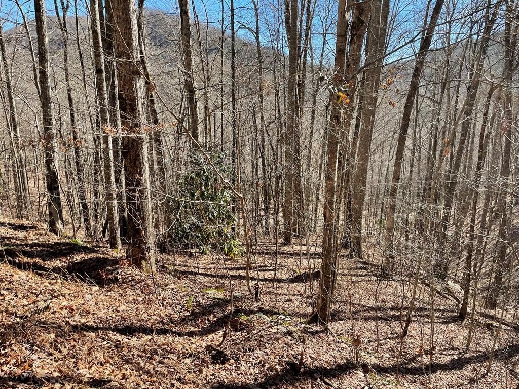 Other - Deep Gap View, Whittier, NC
