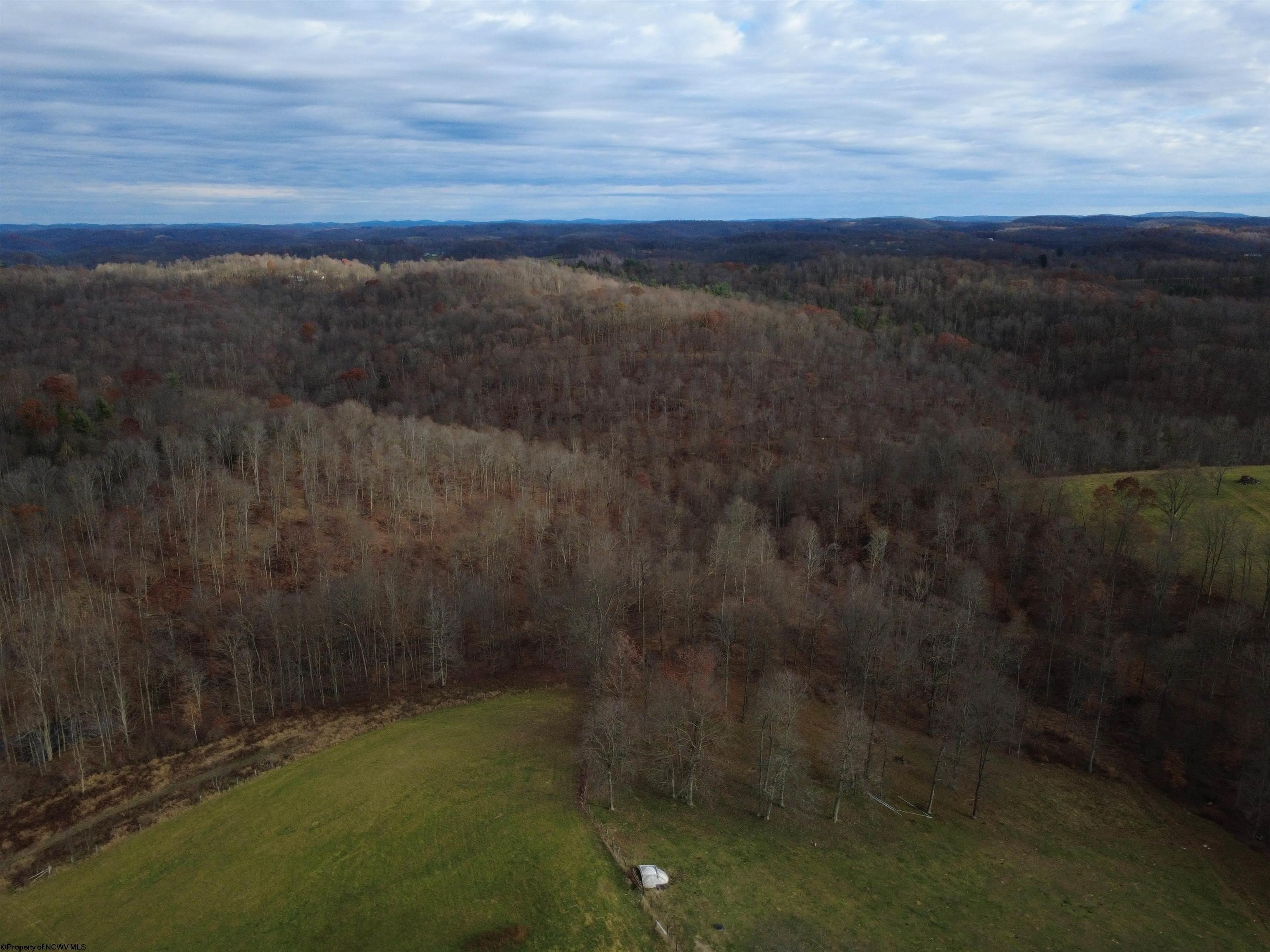 Plots and Land - 9505 Route 20 South Road, French Creek, WV
