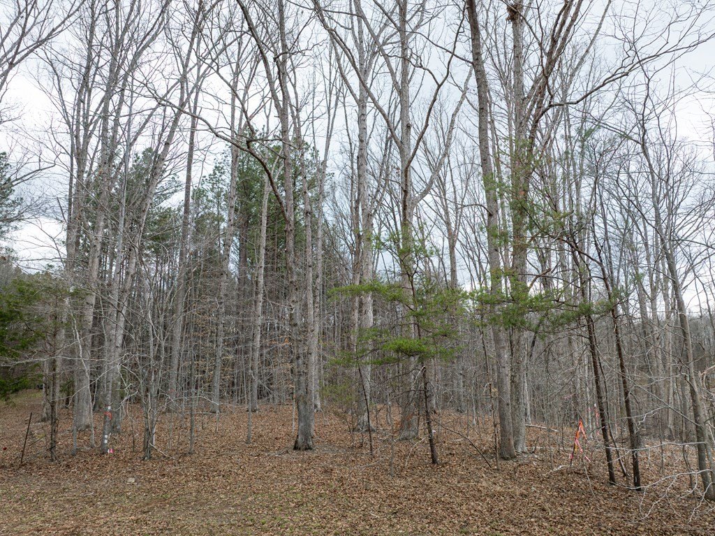 Other - Deer Run Lot 20, Farmville, VA