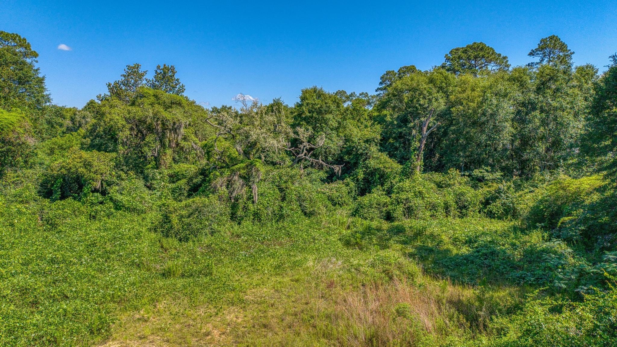 Single Family - 7349 Johnson Road, Milton, FL