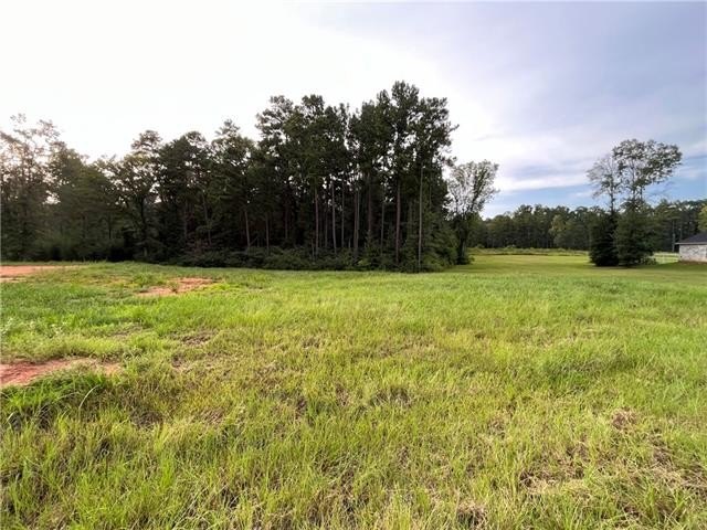 Lot 22 ARCHIE Dr