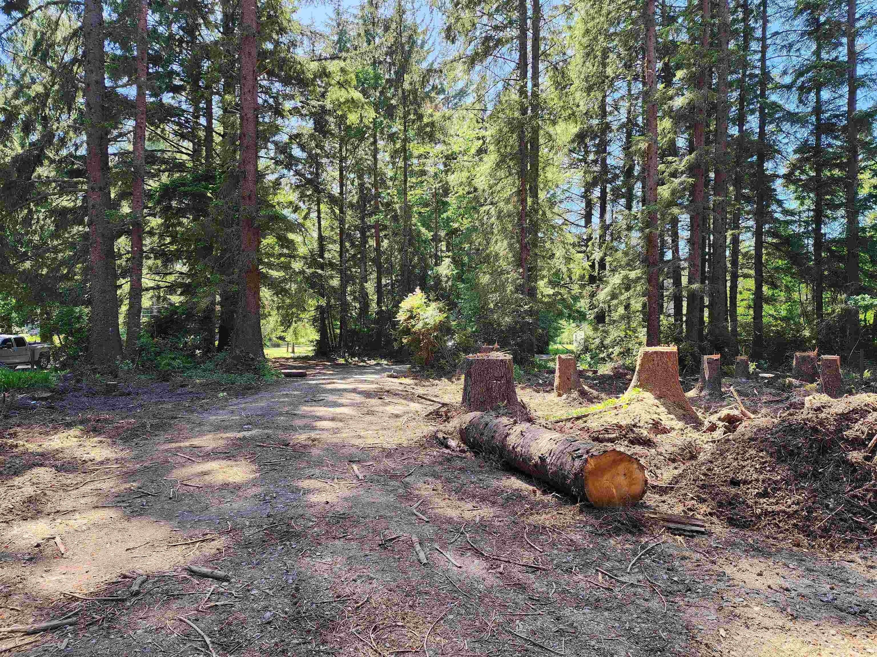 Single Family - 800 Gale, Crescent City, CA