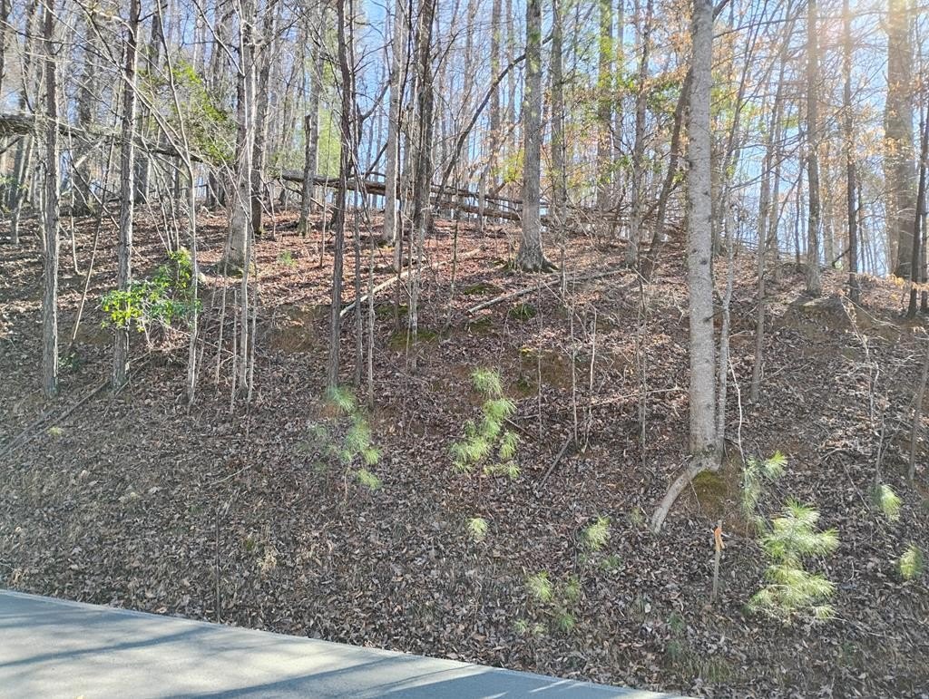 Other - Lt 2090r Newport Drive, Ellijay, GA