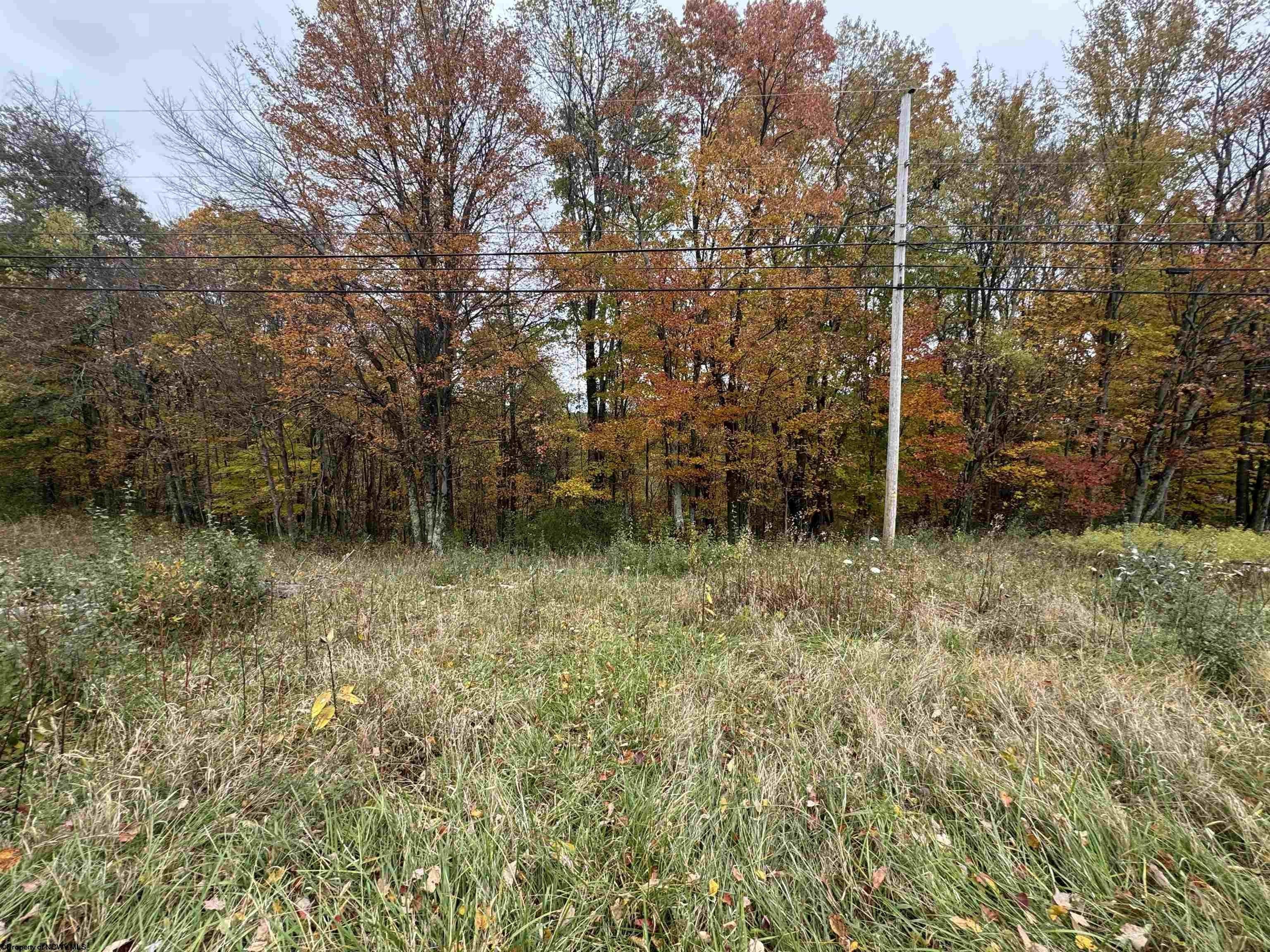 Other - ROHR Road, Masontown, WV