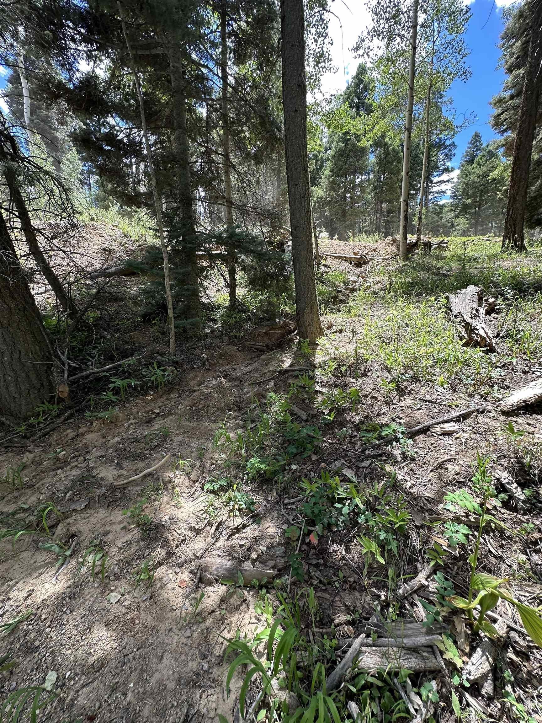 Other - Calle De Los Caballeros lot: 1433, Angel Fire, NM