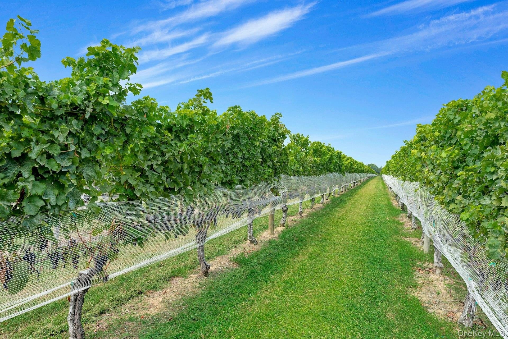 Other - 44075 Route 25, Peconic, NY