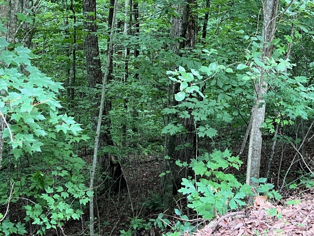 Other - Overlook Drive, Young Harris, GA