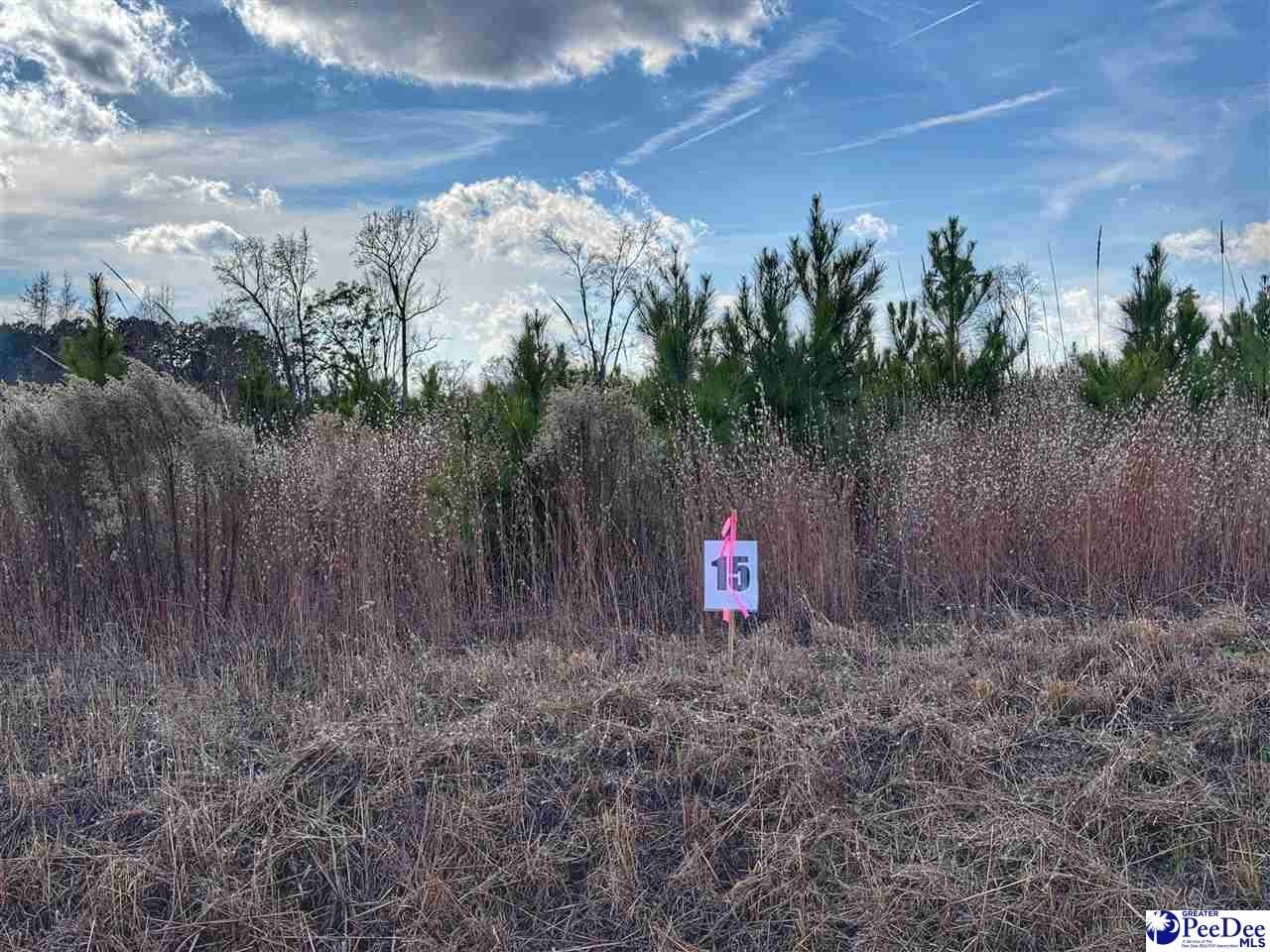 Other - E Academy Street Ext. lot: 15, Latta, SC