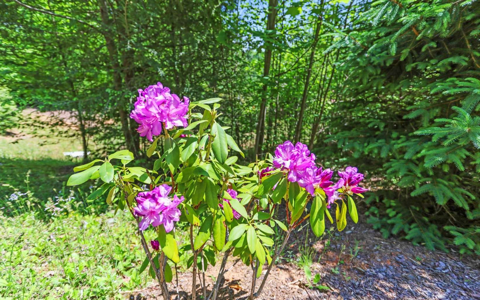 Other - Lt27,28b Haven Way, Blue Ridge, GA