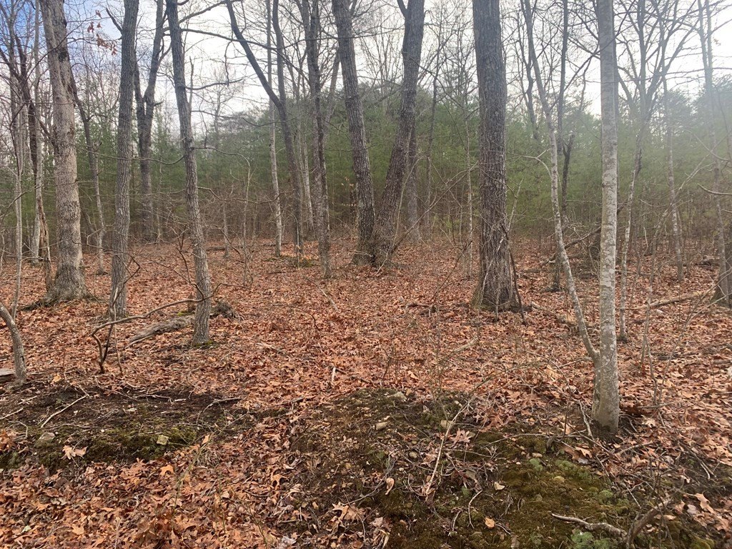 Other - Peaceful Lane lot: 4 &5, Spencer, TN