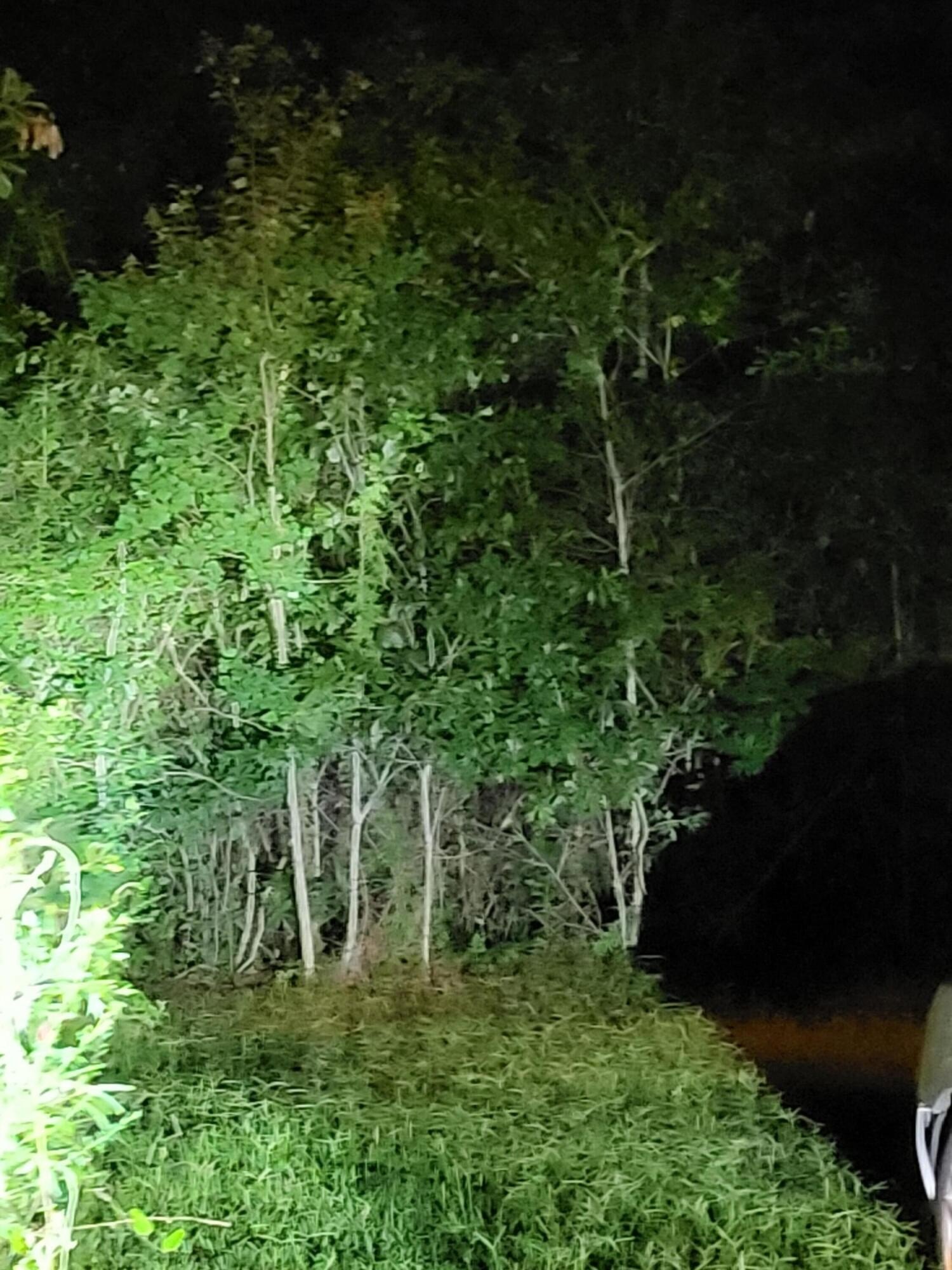 Single Family - Lot of 3 Satcher Drive, Picayune, MS