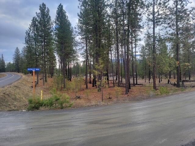 Other - 13XX BUCKLEY WAY, KETTLE FALLS, WA