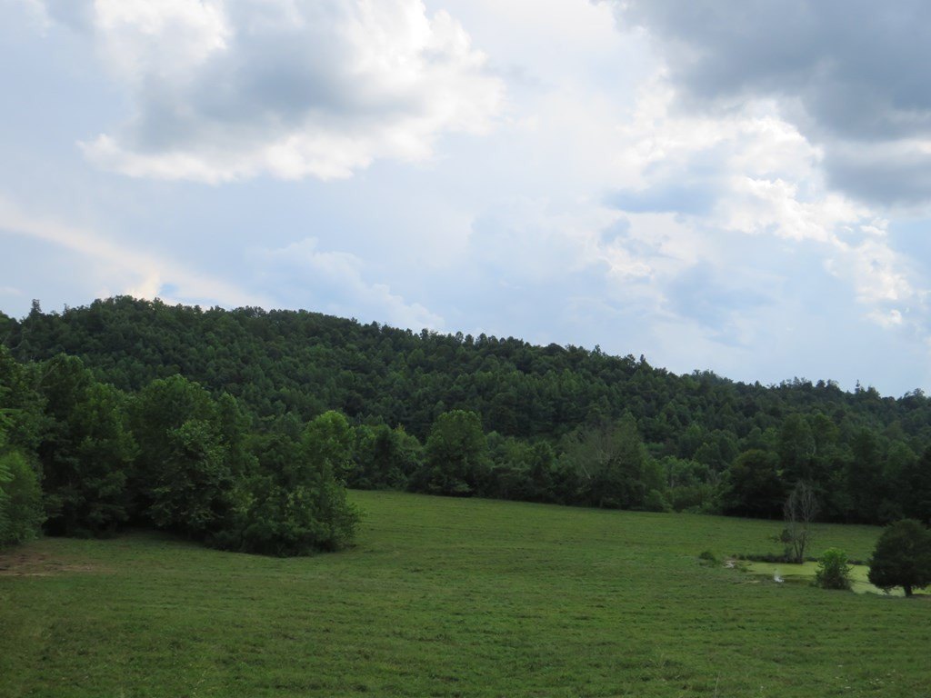 Other - 3534 McClure Branch, Louisa, KY