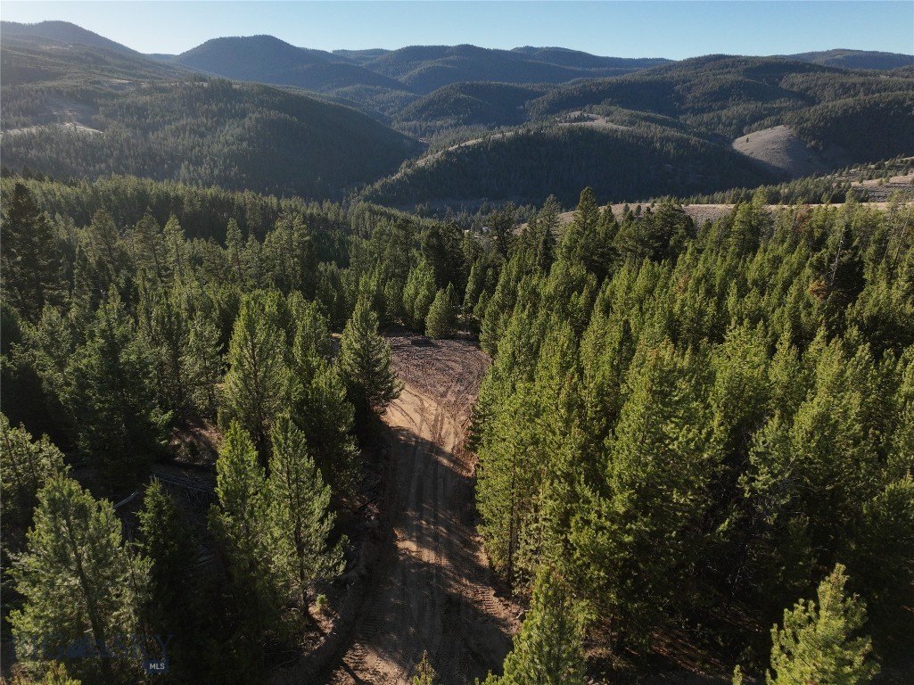 Plots and Land - Lot 2 Ruby Mine Road, Butte, MT