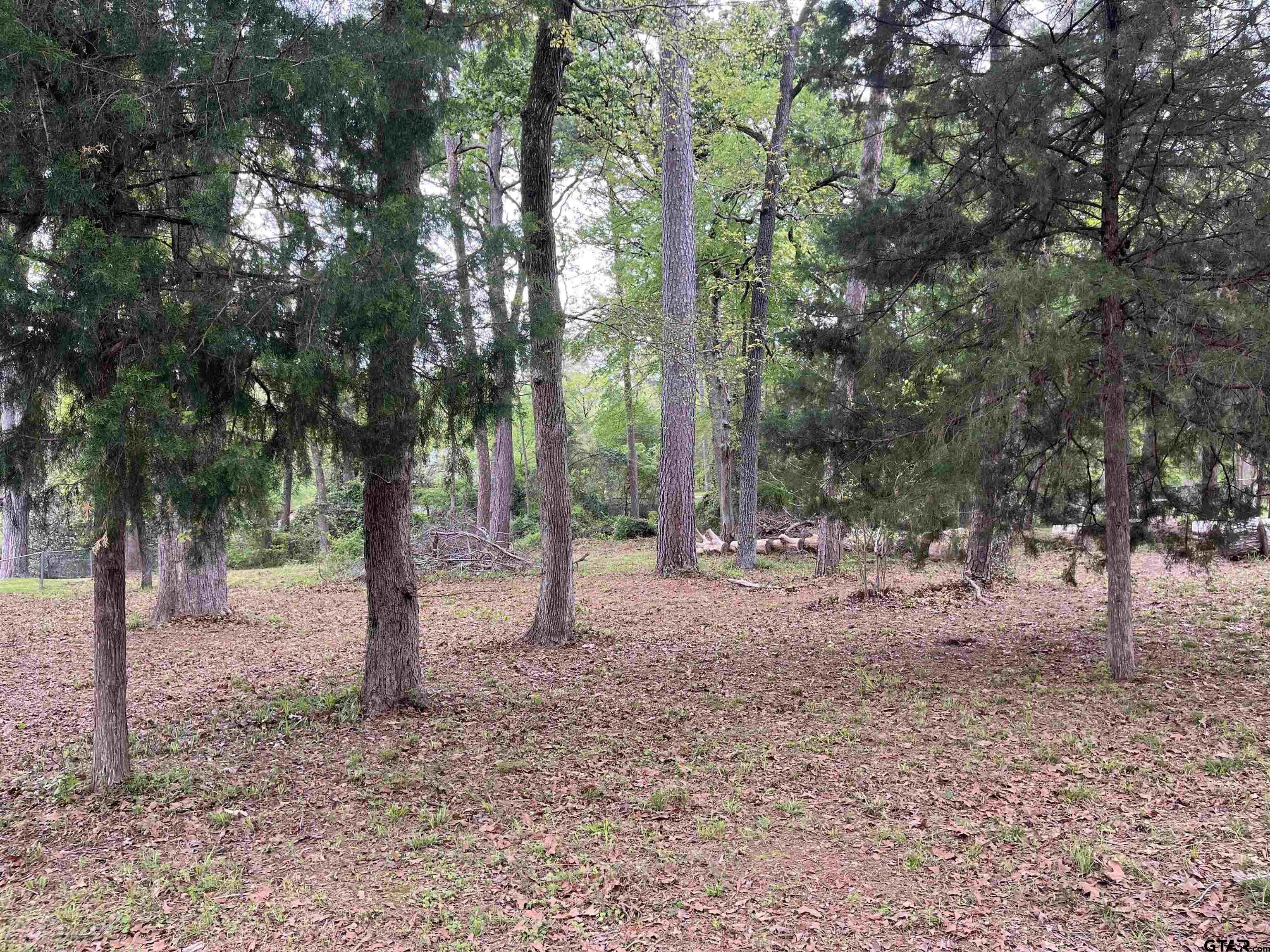 Single Family - lot 5 Lakeview Dr., Bullard, TX