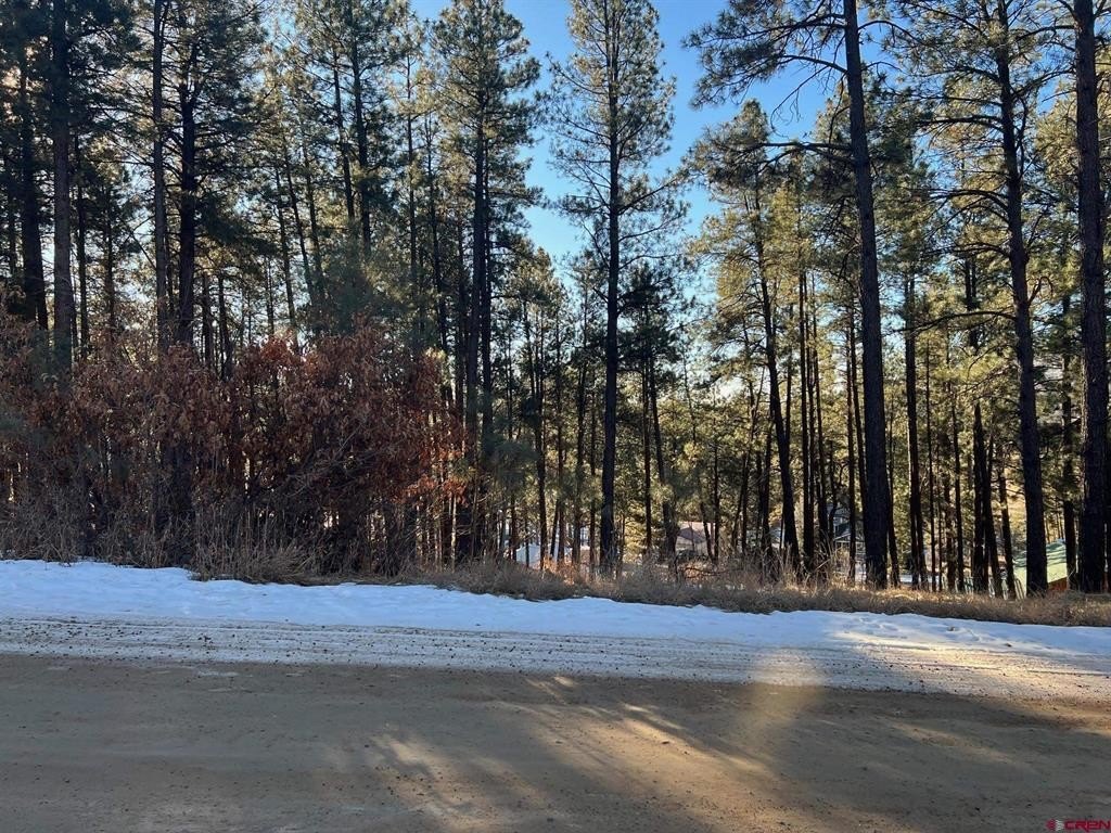Other - 567, 581, 591 Mesa Drive, Bayfield, CO