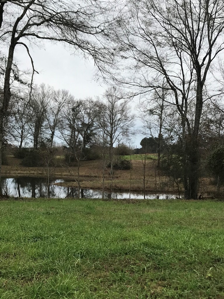Single Family - 0 Whispering Lane Lot 55, Poplarville, MS