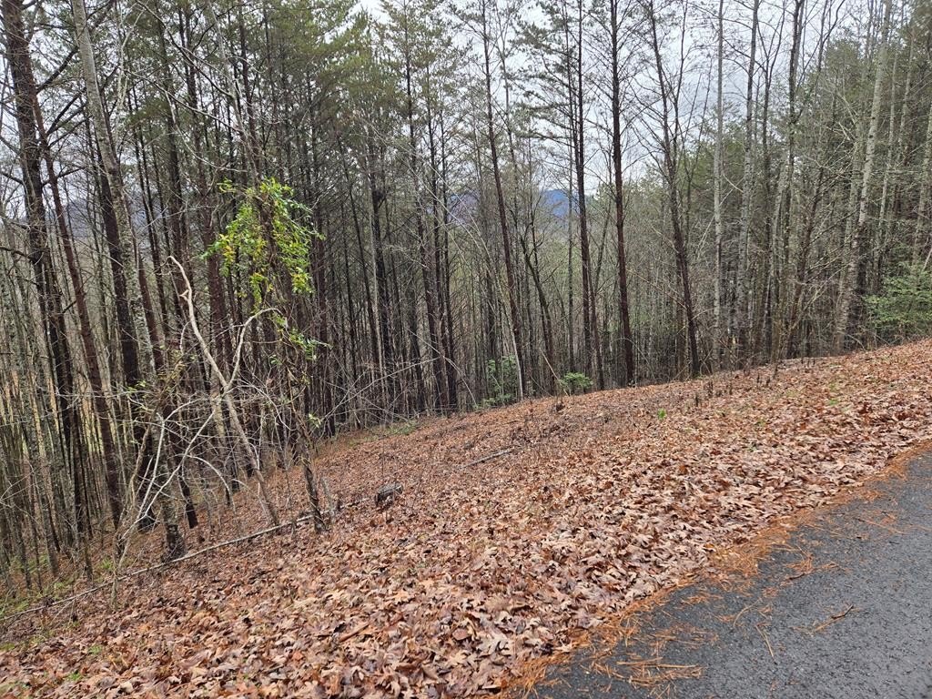 Other - Lot 101 Eagles View Crescent, Hayesville, NC