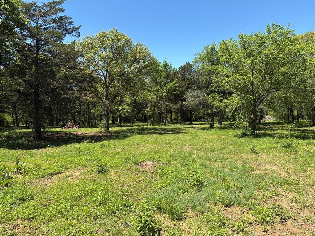 Plots and Land - Tbd 1-b County Road 167 Road, Whitesboro, TX