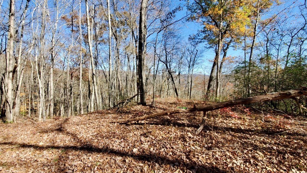 Other - Mountain Vista lot: 101, Bryson City, NC
