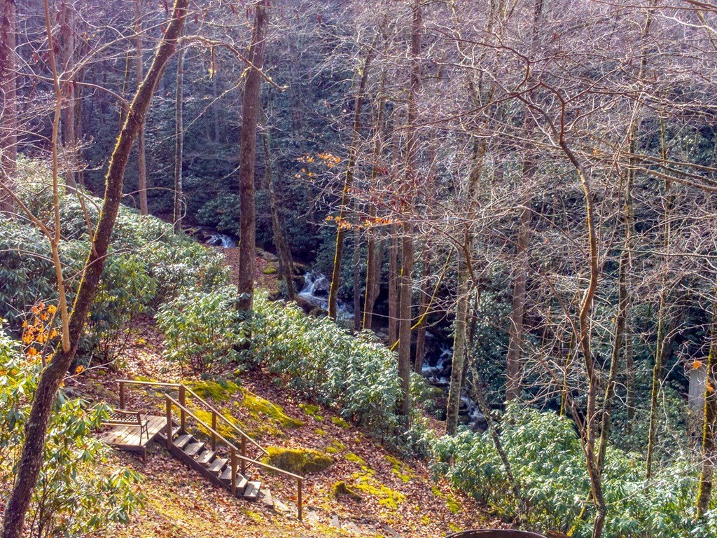 Single Family 3BR 3BA - 2001 Little Ellijay Rd, Franklin, NC