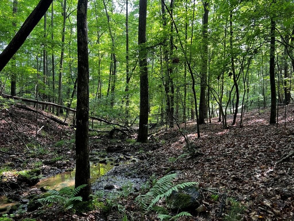 Other - 3.52 Ac Payne Way, Blairsville, GA